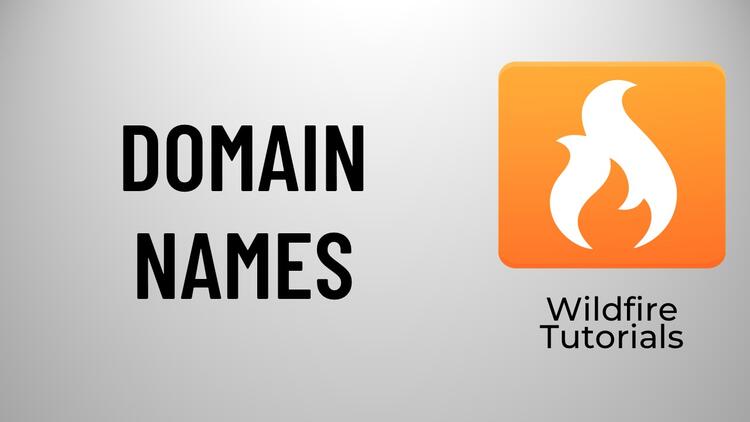 Domain Names